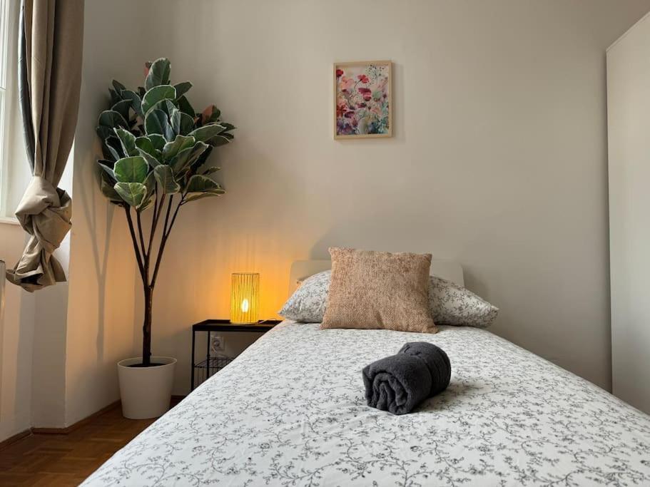 130 M2 Spacious 5 Bedroom Appartement