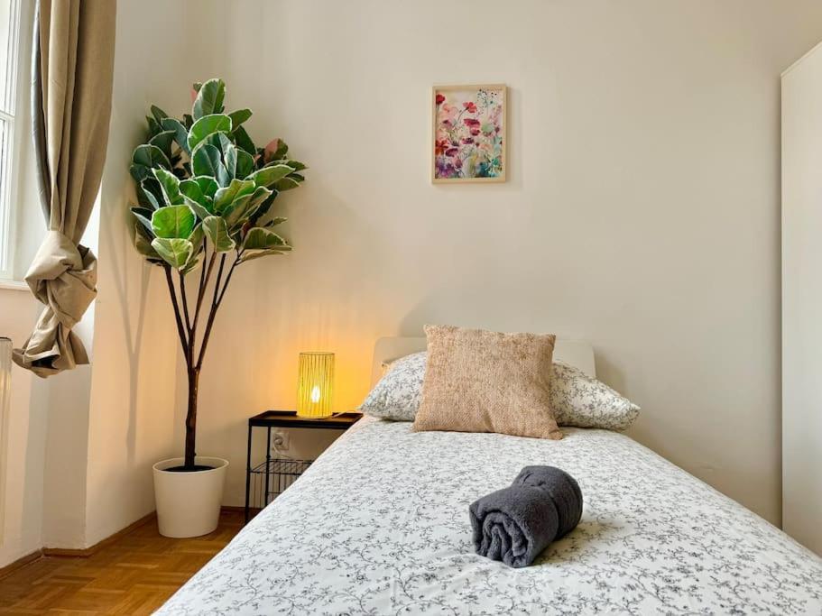 130 M2 Spacious 5 Bedroom Appartement Wenen