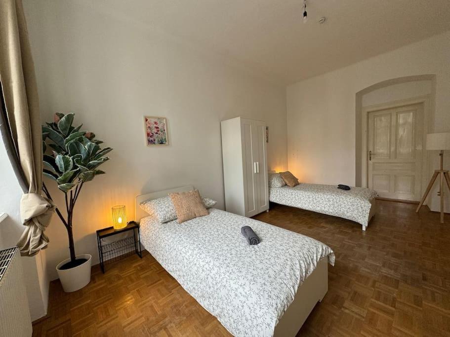 Appartement 130 M2 Spacious 5 Bedroom *